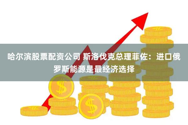 哈尔滨股票配资公司 斯洛伐克总理菲佐：进口俄罗斯能源是最经济选择