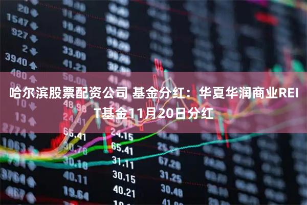 哈尔滨股票配资公司 基金分红：华夏华润商业REIT基金11月20日分红