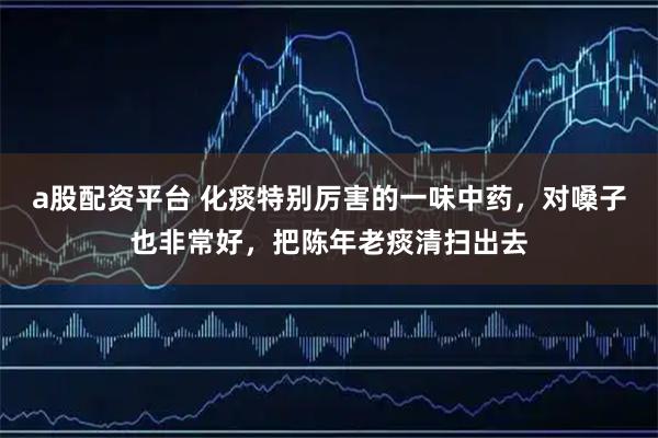 a股配资平台 化痰特别厉害的一味中药，对嗓子也非常好，把陈年老痰清扫出去