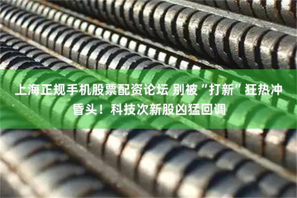 上海正规手机股票配资论坛 别被“打新”狂热冲昏头！科技次新股凶猛回调